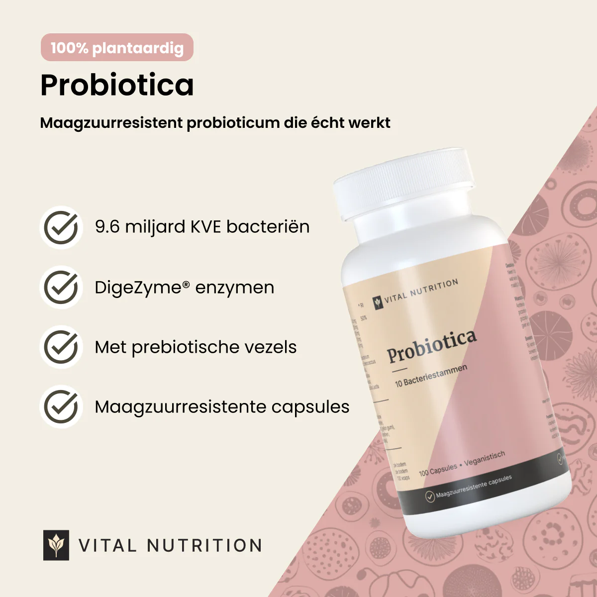 Probiotica - Image 3