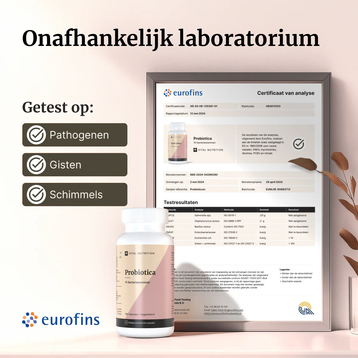 Probiotica - Image 5