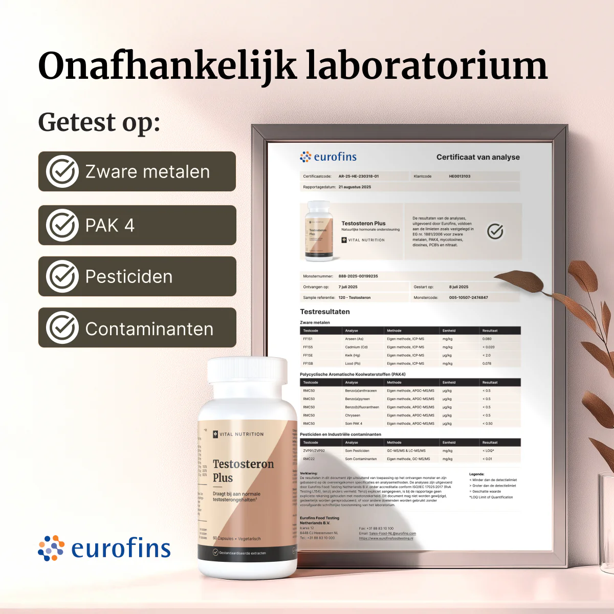 Testosteron Plus - Image 4